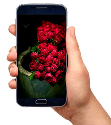 flower wallpaper screenshot 1