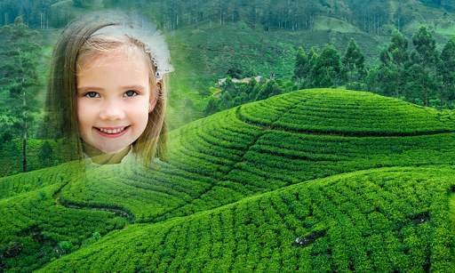Green Hill Photo Frames screenshot 8