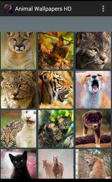Animal Wallpapers HD screenshot 2