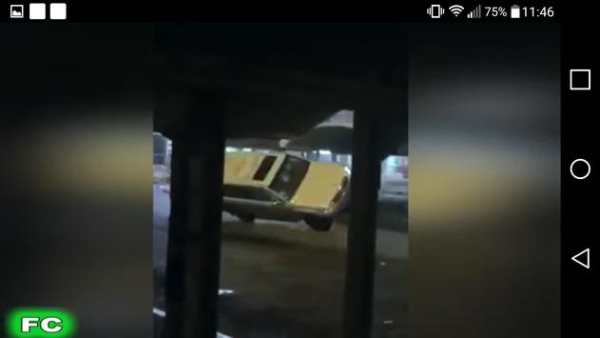 Free Funny Videos screenshot 7