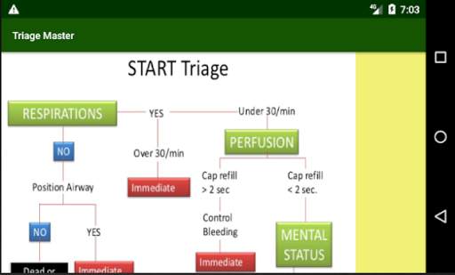Triage Master screenshot 7