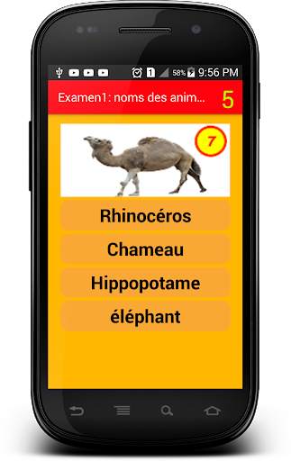 Examen 1 : noms des animaux screenshot 2