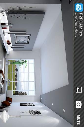 P2PCAMPro screenshot 4