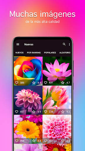 Fondos de pantalla con flores screenshot 2