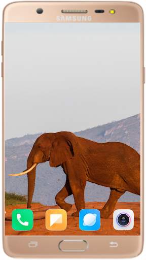 Elephant Wallpaper Best HD screenshot 1