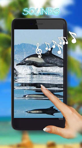 Dolphin Voice screenshot 1