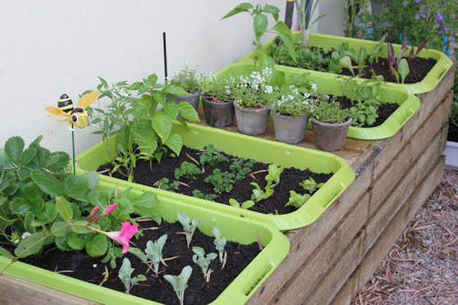 Vegetable Garden Ideas скриншот 4