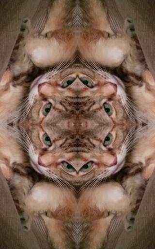 Funny Mirror Free screenshot 5