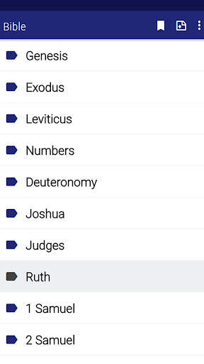 KJV Bible offline in english screenshot 2