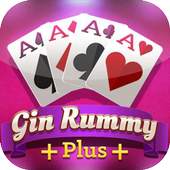 GIN RUMMY PLUS 2020 1.0