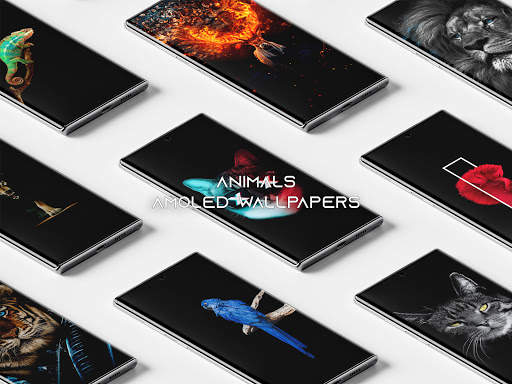 4K Amoled Wallpapers – Black, Dark Wallpaper screenshot 6