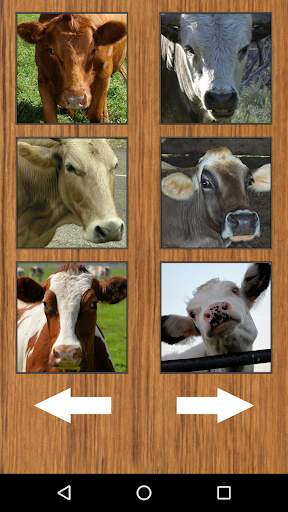 Funny Cow Farm Sounds screenshot 3