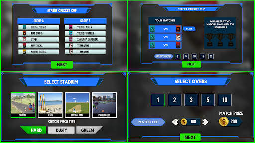 Street Cricket Championship screenshot 6
