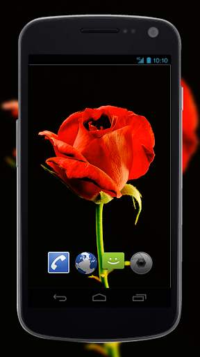 4K Red Rose Video Live Wallpaper screenshot 4