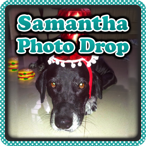 Samantha Photo Drop icon
