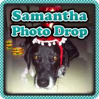 Samantha Photo Drop