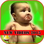 Funny Vidéos Droles WhatsApp 1.3.2