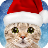 Christmas Photo Frames icon