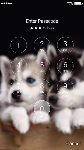 Husky Lock Screen 6 تصوير الشاشة