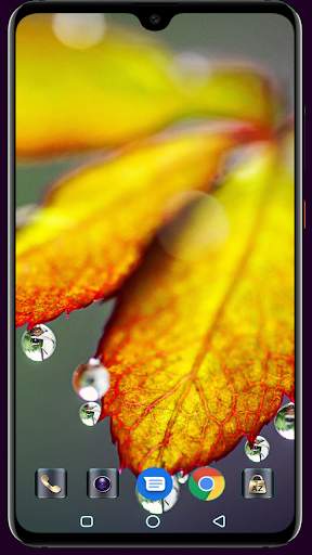 Water Drops Wallpaper screenshot 15