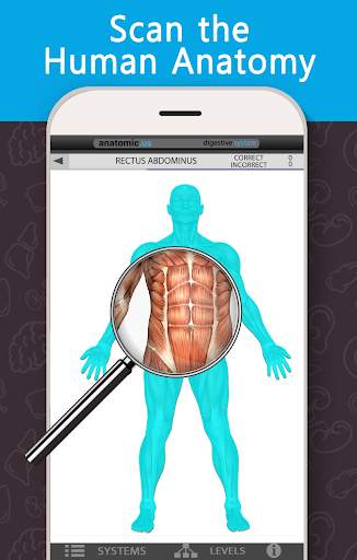 Anatomy Game Anatomicus Lite screenshot 4