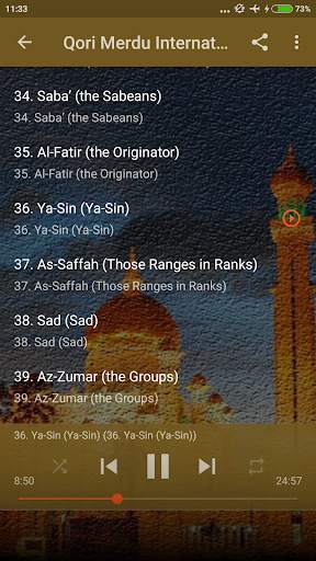 Qori Internasional Mp3 Offline screenshot 3