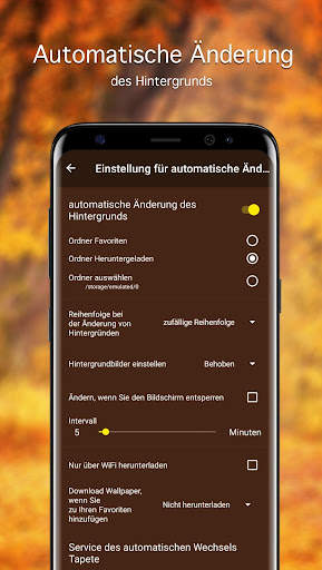 Herbst Hintergrundbilder 4K screenshot 4
