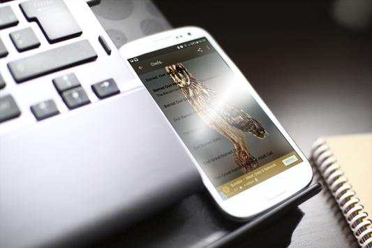Bird Hunting All Birds Sounds/Calls In One App. screenshot 2