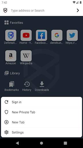 DefensX Browser screenshot 3