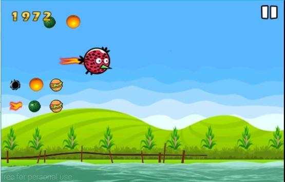 Angry LadyBird स्क्रीनशॉट 2