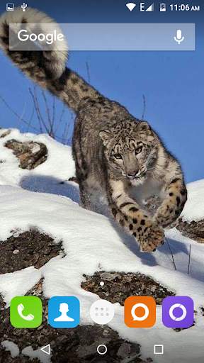 Snow Leopard Hd Wallpaper screenshot 1