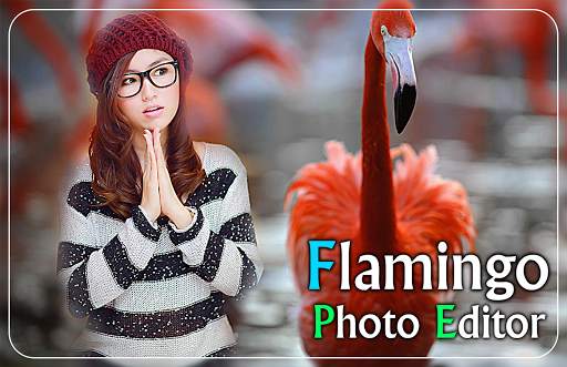Flamingo Photo Editor - flamingo photo frames screenshot 1