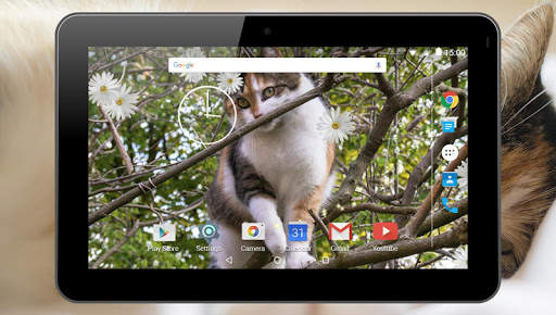 Cats Live Wallpaper screenshot 7