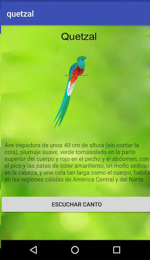 Fauna aves screenshot 2