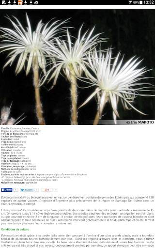 Au Cactus screenshot 16