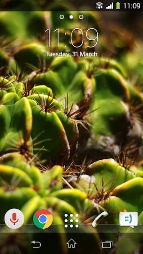Photo Wallpapers screenshot 6