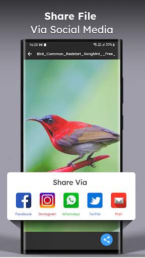 Video Downloader screenshot 6