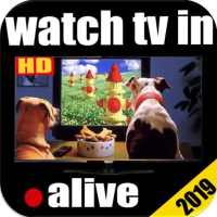 Watch TV For Free On My Cell Phone Guide Programs