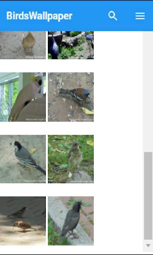 BirdsWallpaper screenshot 2