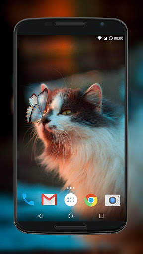 Cute Cat Wallpaper screenshot 2