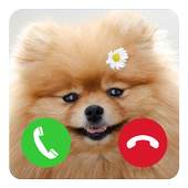 Dog Fake Call Joke 1.0