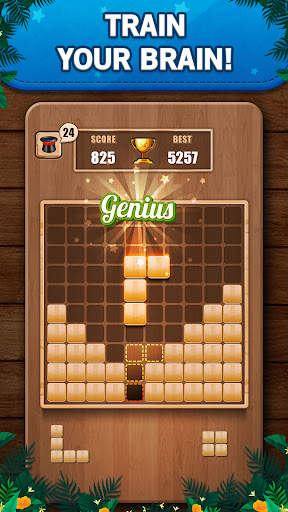 Wooden 100 Block Puzzle Game screenshot 1