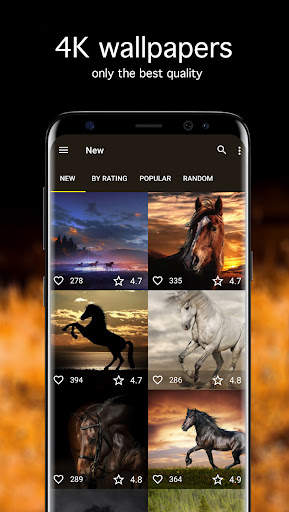 Horse Wallpapers 4K screenshot 2