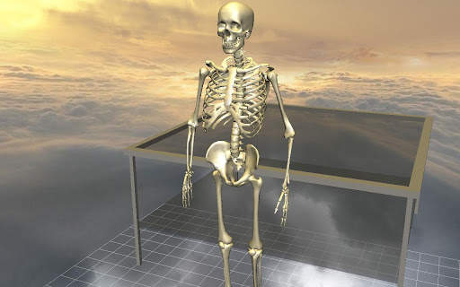 Body Disassembly 3D screenshot 2