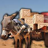 Donkey Cart Driver