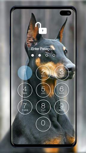 Doberman Wallpapers & Lock Screen screenshot 4