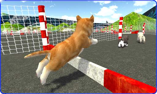 Cute Puppy Dog Racing Sim 2017 screenshot 4