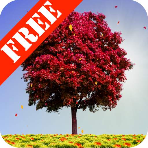 Autumn Trees Free 1.26