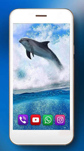 Dolphins Live Wallpaper screenshot 2
