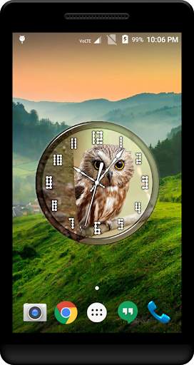 Owl Clock Live Wallpaper screenshot 2